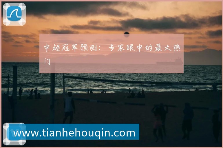 中超冠军预测:专家眼中的最大热门