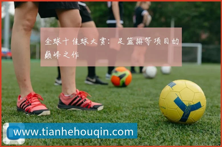 全球十佳球大赏:足篮排等项目的巅峰之作