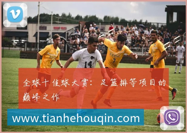 全球十佳球大赏:足篮排等项目的巅峰之作